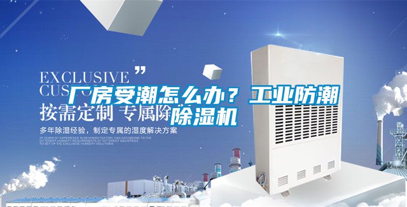 廠房受潮怎么辦？工業防潮除濕機