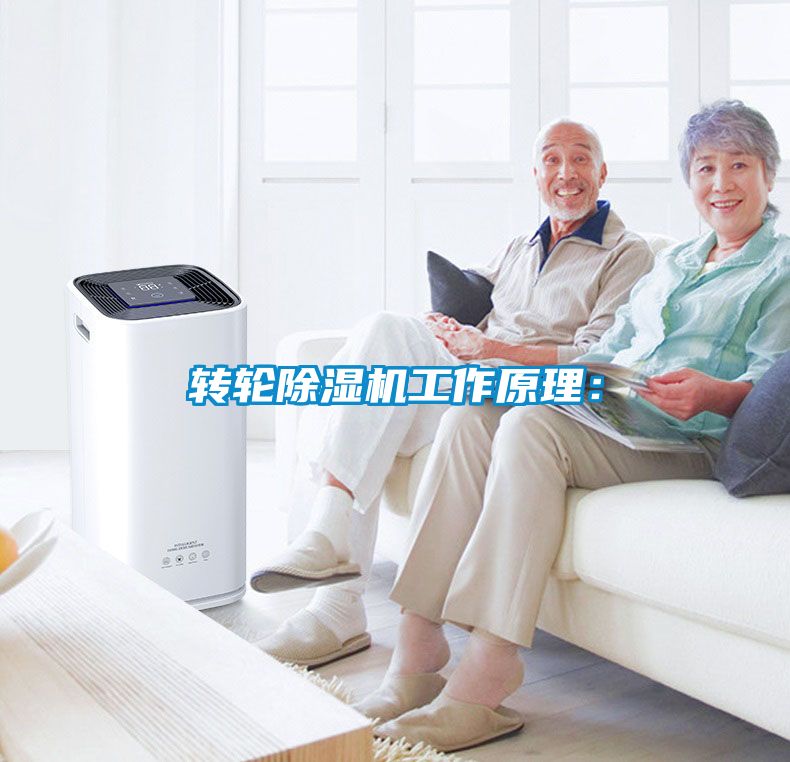 轉(zhuǎn)輪除濕機(jī)工作原理: