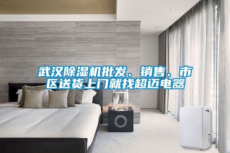 武漢除濕機批發、銷售、市區送貨上門就找超邁電器