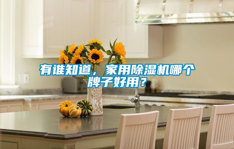 有誰知道,家用除濕機(jī)哪個(gè)牌子好用?