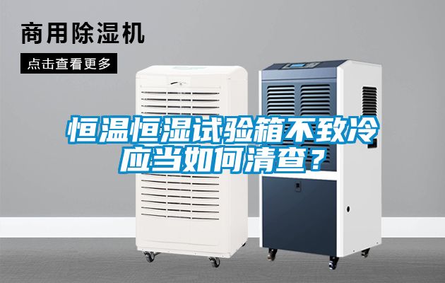 恒溫恒濕試驗箱不致冷應當如何清查？