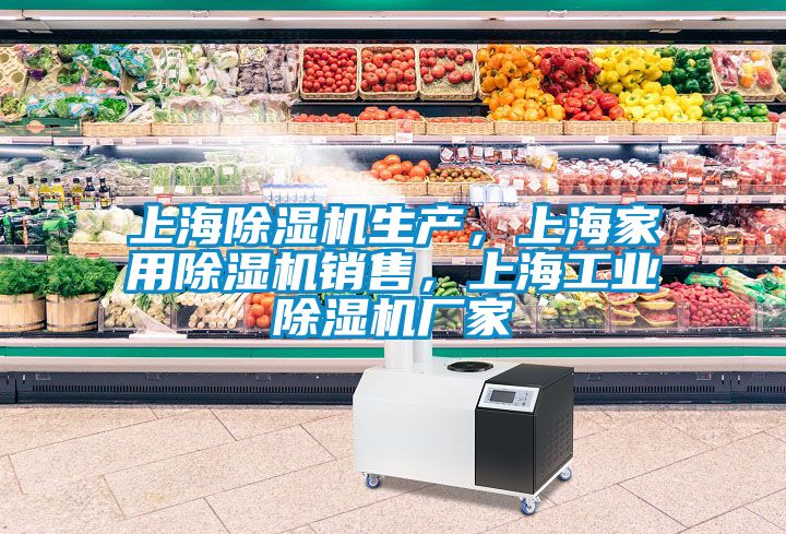 上海除濕機(jī)生產(chǎn)，上海家用除濕機(jī)銷(xiāo)售，上海工業(yè)除濕機(jī)廠家