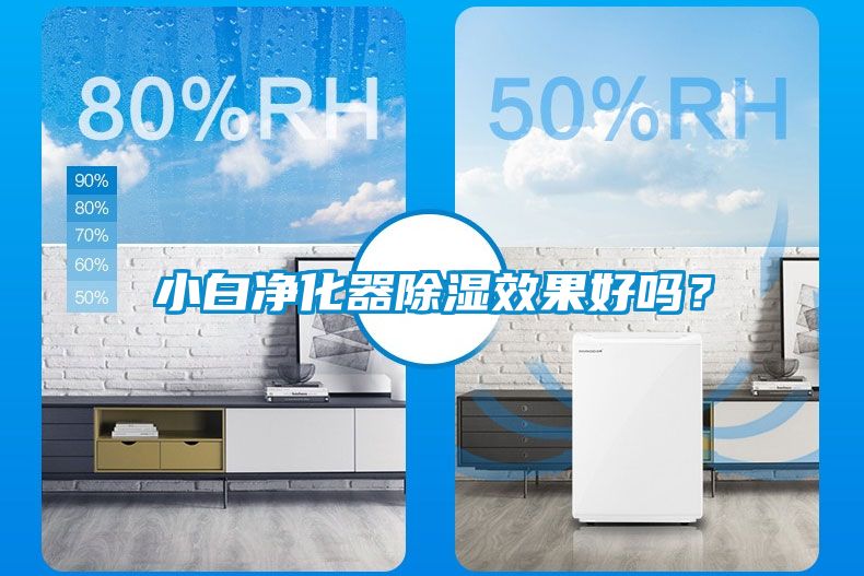 小白凈化器除濕效果好嗎？