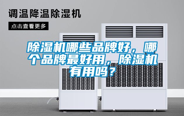 除濕機哪些品牌好,哪個品牌最好用,除濕機有用嗎?