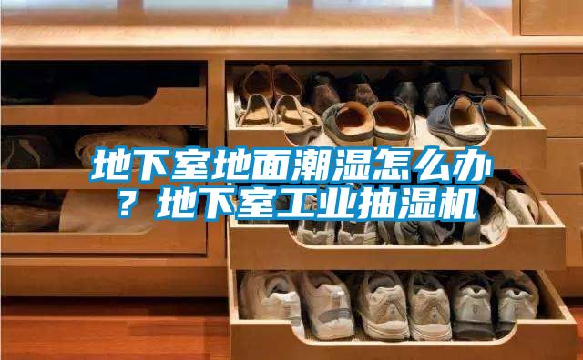 地下室地面潮濕怎么辦？地下室工業(yè)抽濕機(jī)