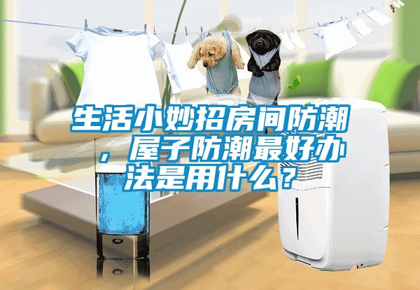 生活小妙招房間防潮 ,屋子防潮最好辦法是用什么?