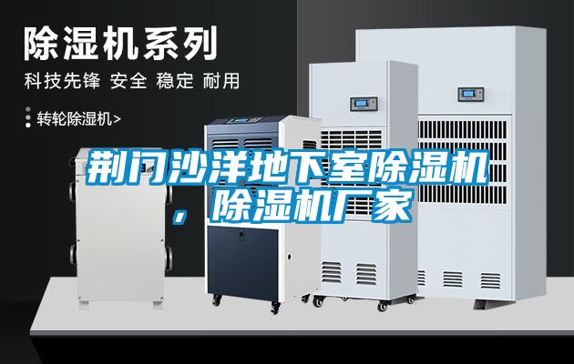 荊門(mén)沙洋地下室除濕機(jī)，除濕機(jī)廠(chǎng)家