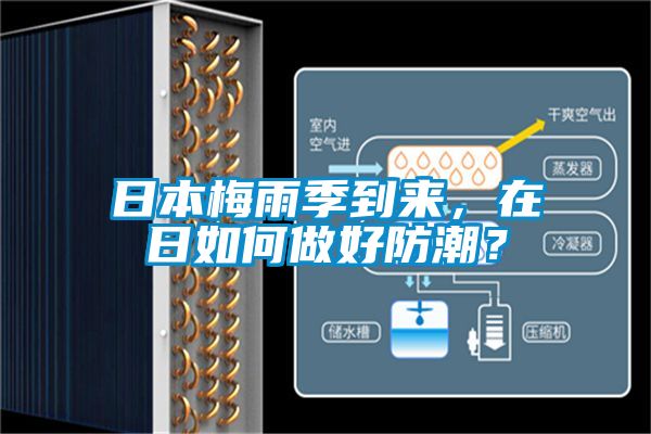 日本梅雨季到來，在日如何做好防潮？