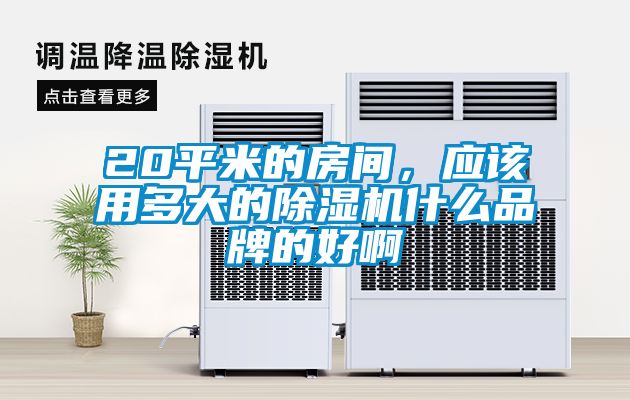 20平米的房間，應該用多大的除濕機什么品牌的好啊
