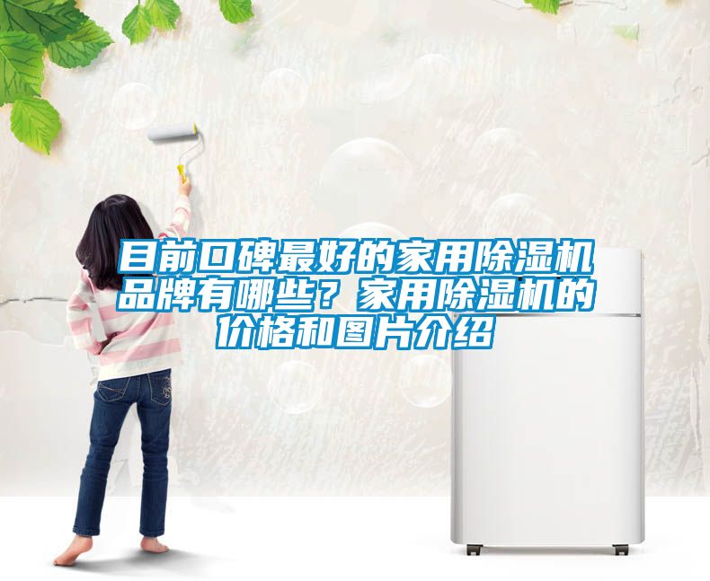 目前口碑最好的家用除濕機(jī)品牌有哪些？家用除濕機(jī)的價(jià)格和圖片介紹