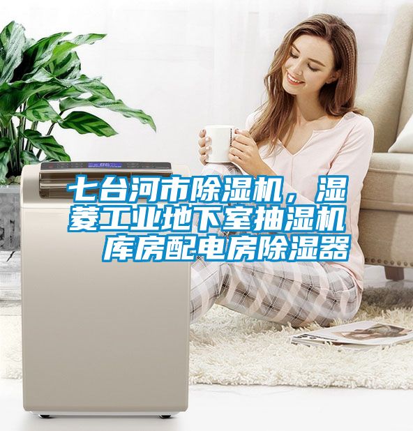 七臺河市除濕機,濕菱工業地下室抽濕機  庫房配電房除濕器