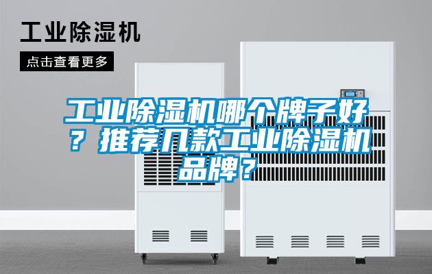 工業(yè)除濕機(jī)哪個(gè)牌子好?推薦幾款工業(yè)除濕機(jī)品牌?