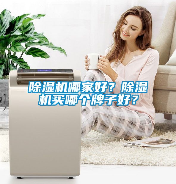 除濕機哪家好？除濕機買哪個牌子好？
