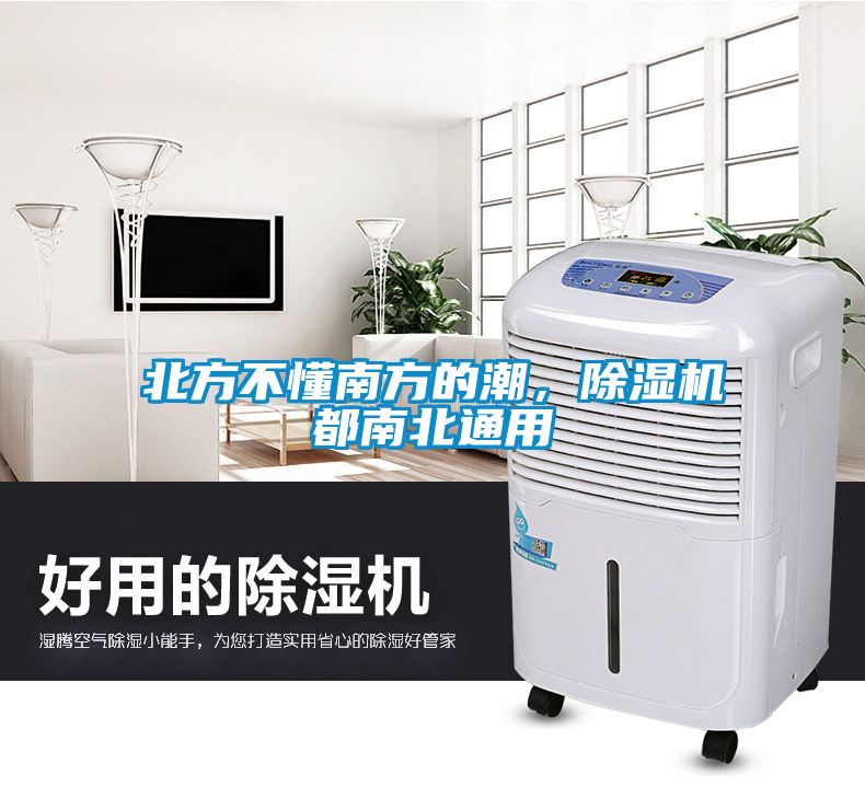 北方不懂南方的潮，除濕機(jī)都南北通用