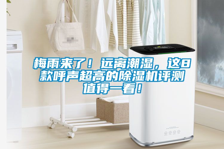 梅雨來了！遠離潮濕，這8款呼聲超高的除濕機評測值得一看！