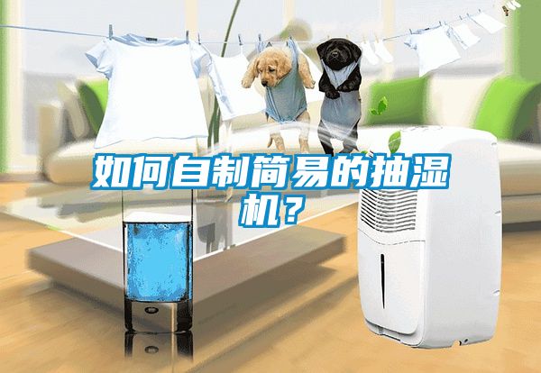 如何自制簡(jiǎn)易的抽濕機(jī)？