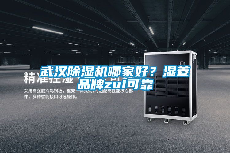武漢除濕機(jī)哪家好？濕菱品牌zui可靠