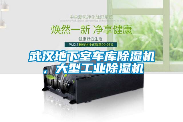 武漢地下室車庫除濕機(jī),大型工業(yè)除濕機(jī)