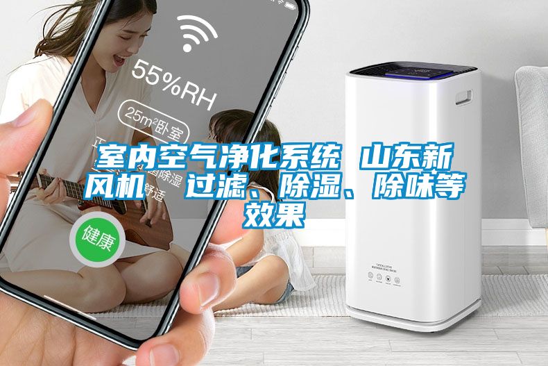 室內(nèi)空氣凈化系統(tǒng) 山東新風(fēng)機(jī)  過濾、除濕、除味等效果