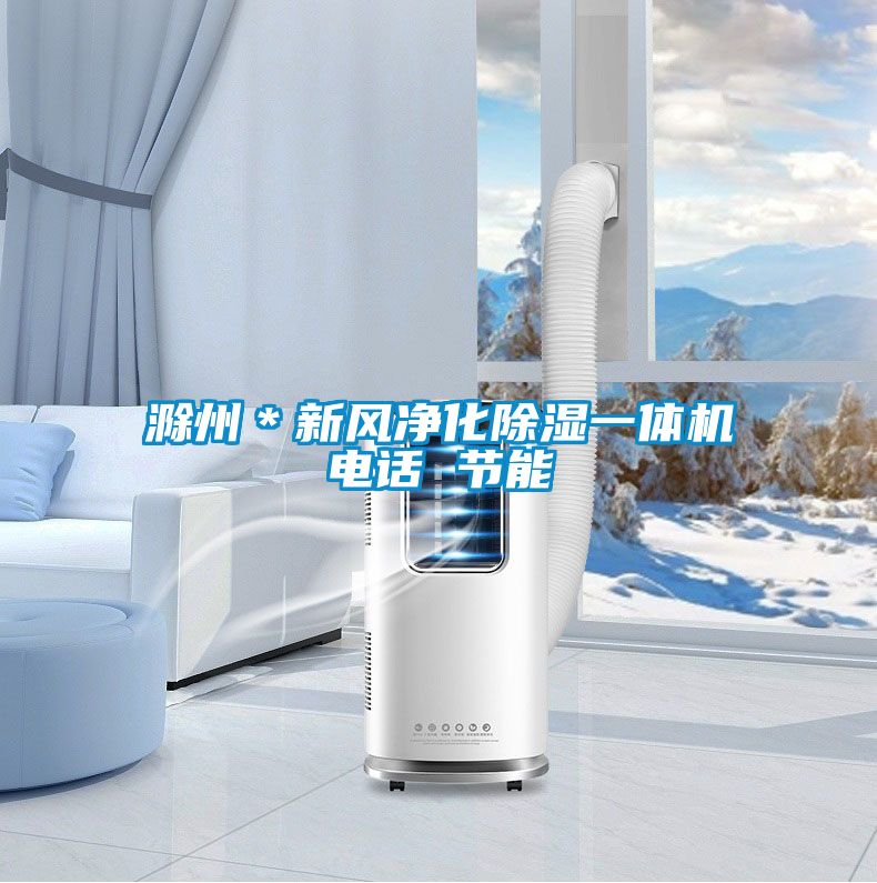 滁州*新風(fēng)凈化除濕一體機(jī)電話 節(jié)能