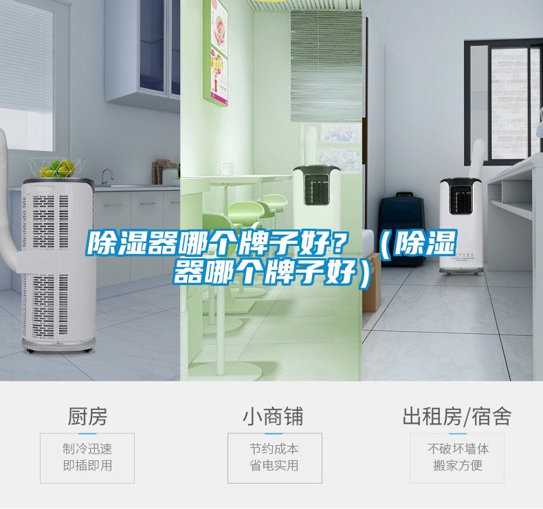 除濕器哪個牌子好？（除濕器哪個牌子好）