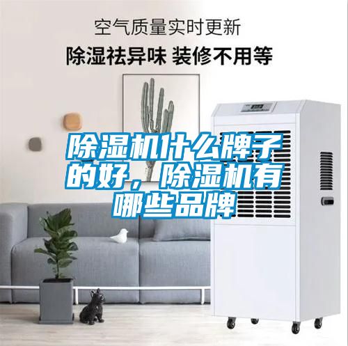 除濕機(jī)什么牌子的好，除濕機(jī)有哪些品牌