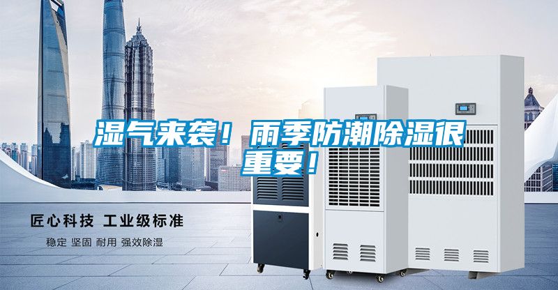 濕氣來襲！雨季防潮除濕很重要！