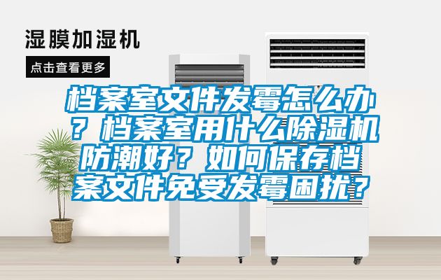檔案室文件發霉怎么辦？檔案室用什么除濕機防潮好？如何保存檔案文件免受發霉困擾？