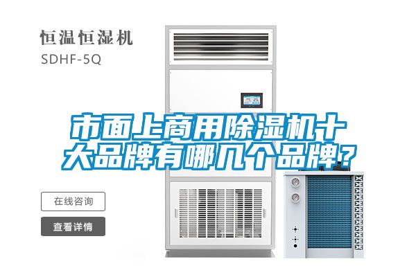 市面上商用除濕機十大品牌有哪幾個品牌？