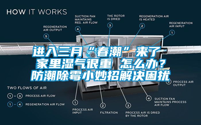 進入三月“春潮”來了 家里濕氣很重 怎么辦？防潮除霉小妙招解決困擾