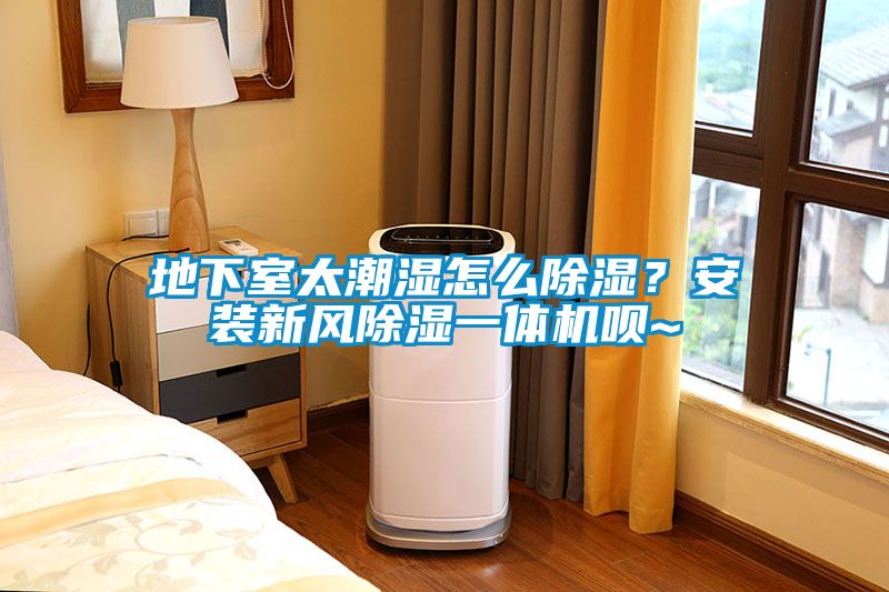 地下室太潮濕怎么除濕？安裝新風(fēng)除濕一體機唄~