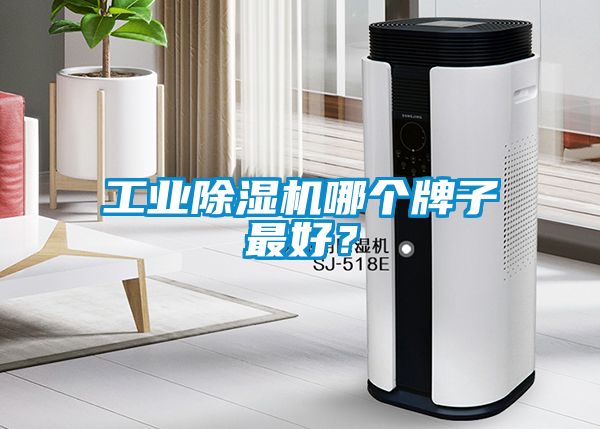 工業(yè)除濕機哪個牌子最好？